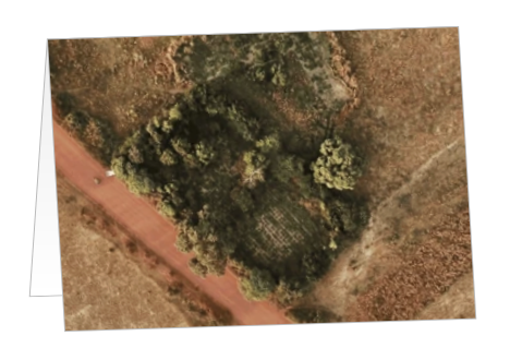 Forest garden drone card